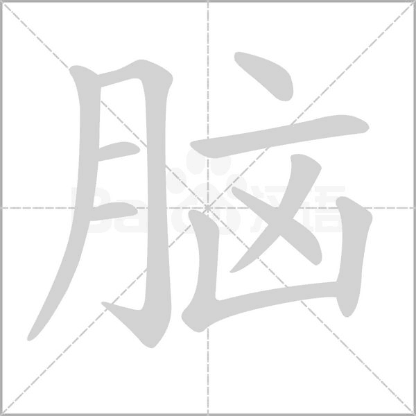 腦的筆順