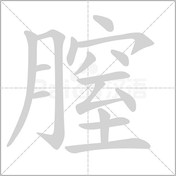 膣的筆順