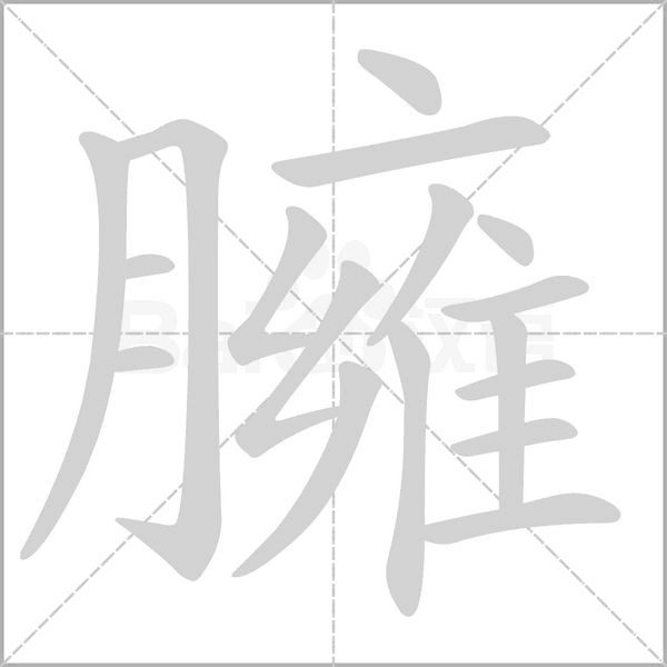 臃的筆順