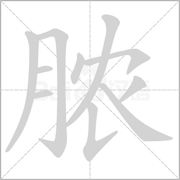 膿的筆順