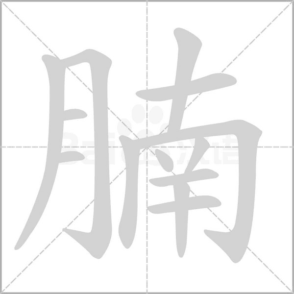 腩的筆順