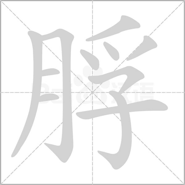 脬的筆順