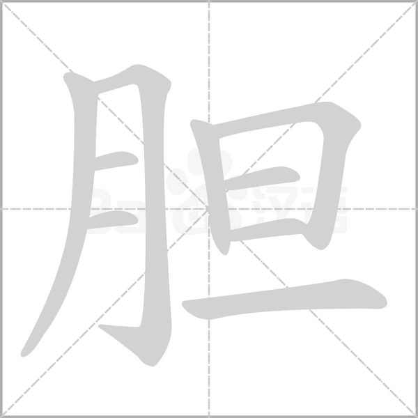膽的筆順