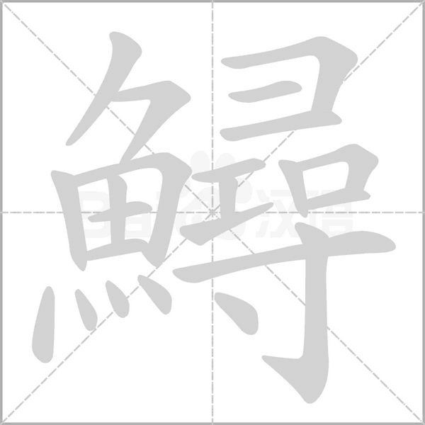 鱘的筆順