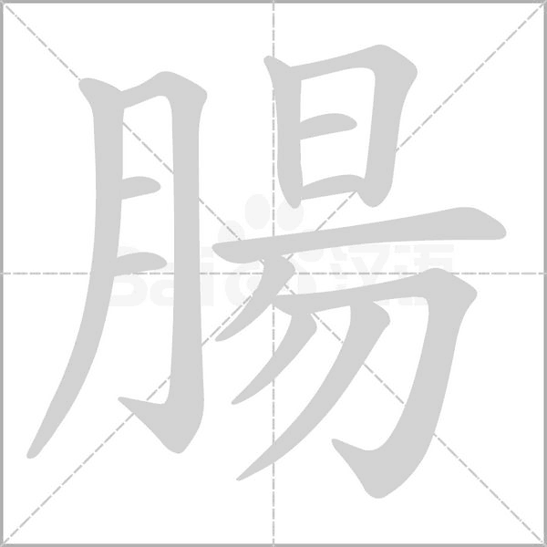 腸的筆順