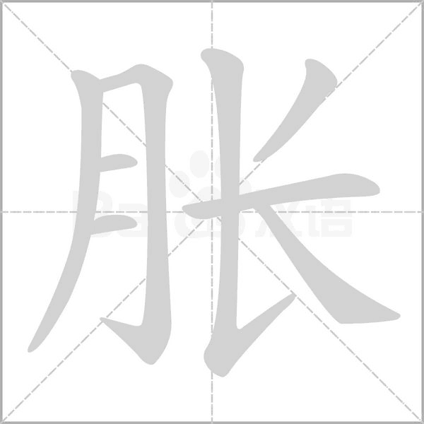 脹的筆順