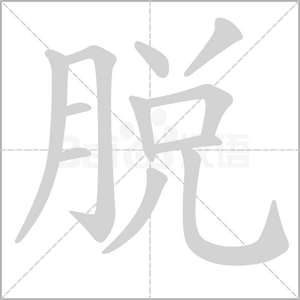 脫的筆順