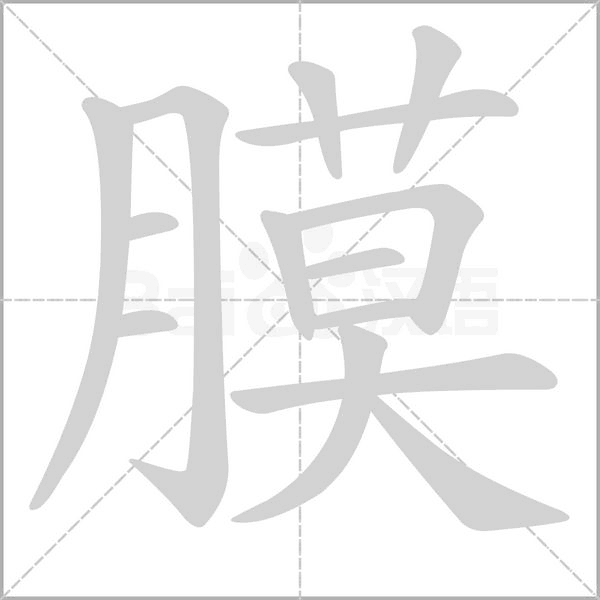 膜的筆順