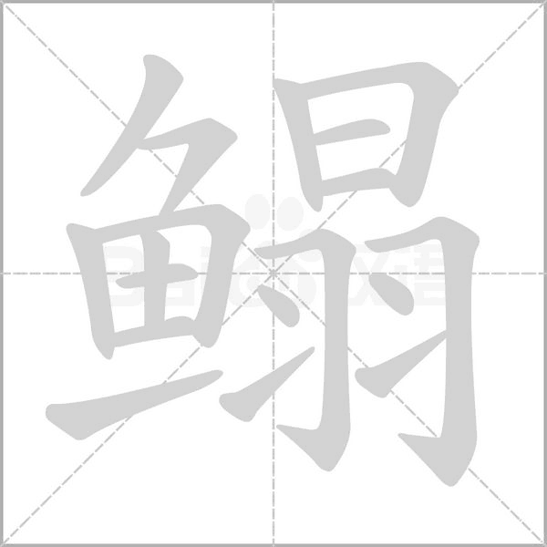 鰨的筆順